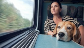 I problemi che gli animali possono riscontrare in treno