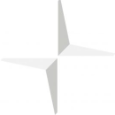 Logo Polestar